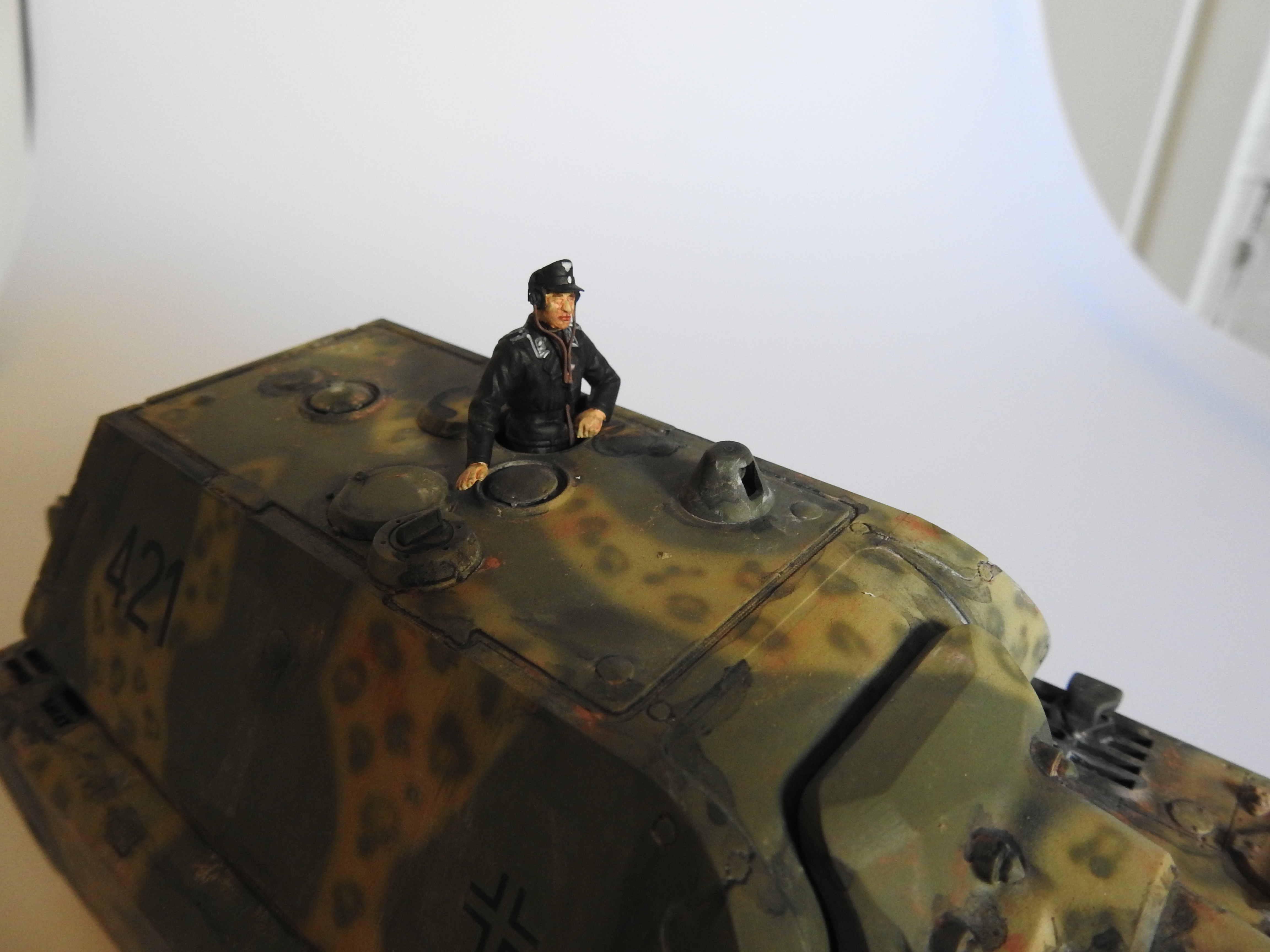 Panzer VIII Maus, Takom 1/35 – klar DSCN6753