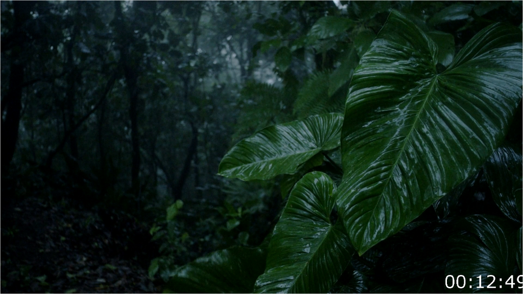 [Image: 2dr1vkv9b2fg.png]