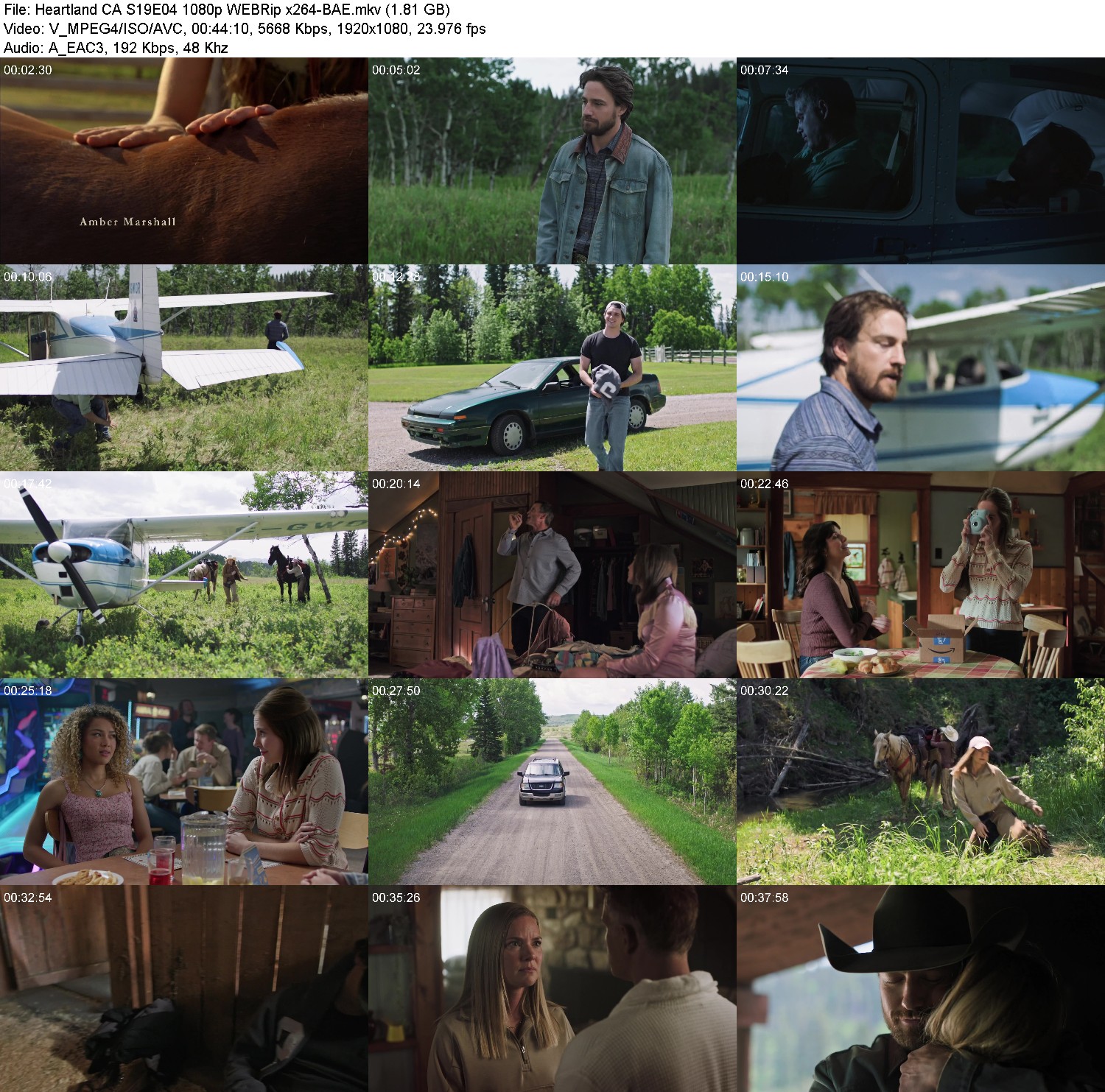 [Image: mx80r5ab3mbn.jpg]