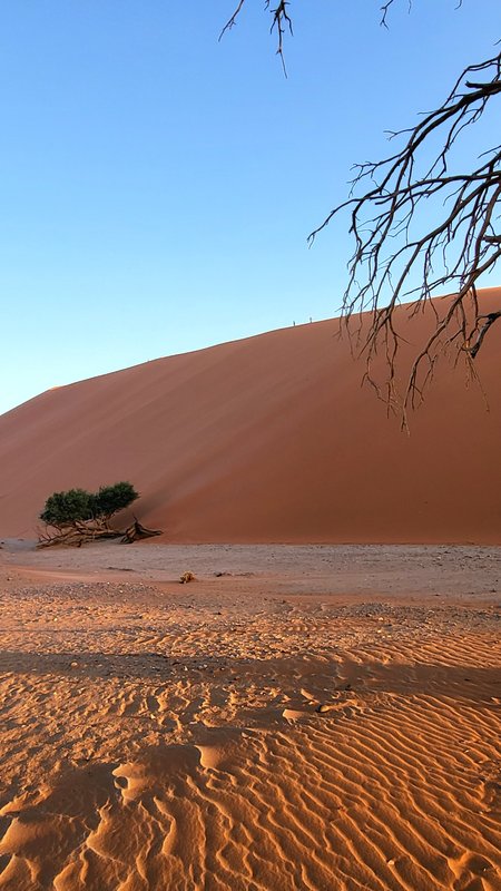 Африканские каникулы - зверики Крюгера, пески Намибии, воды Виктории