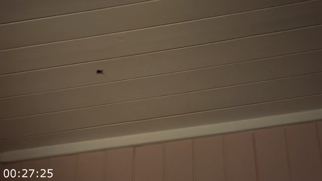 [Image: nhd7g6p3lxy4.png]