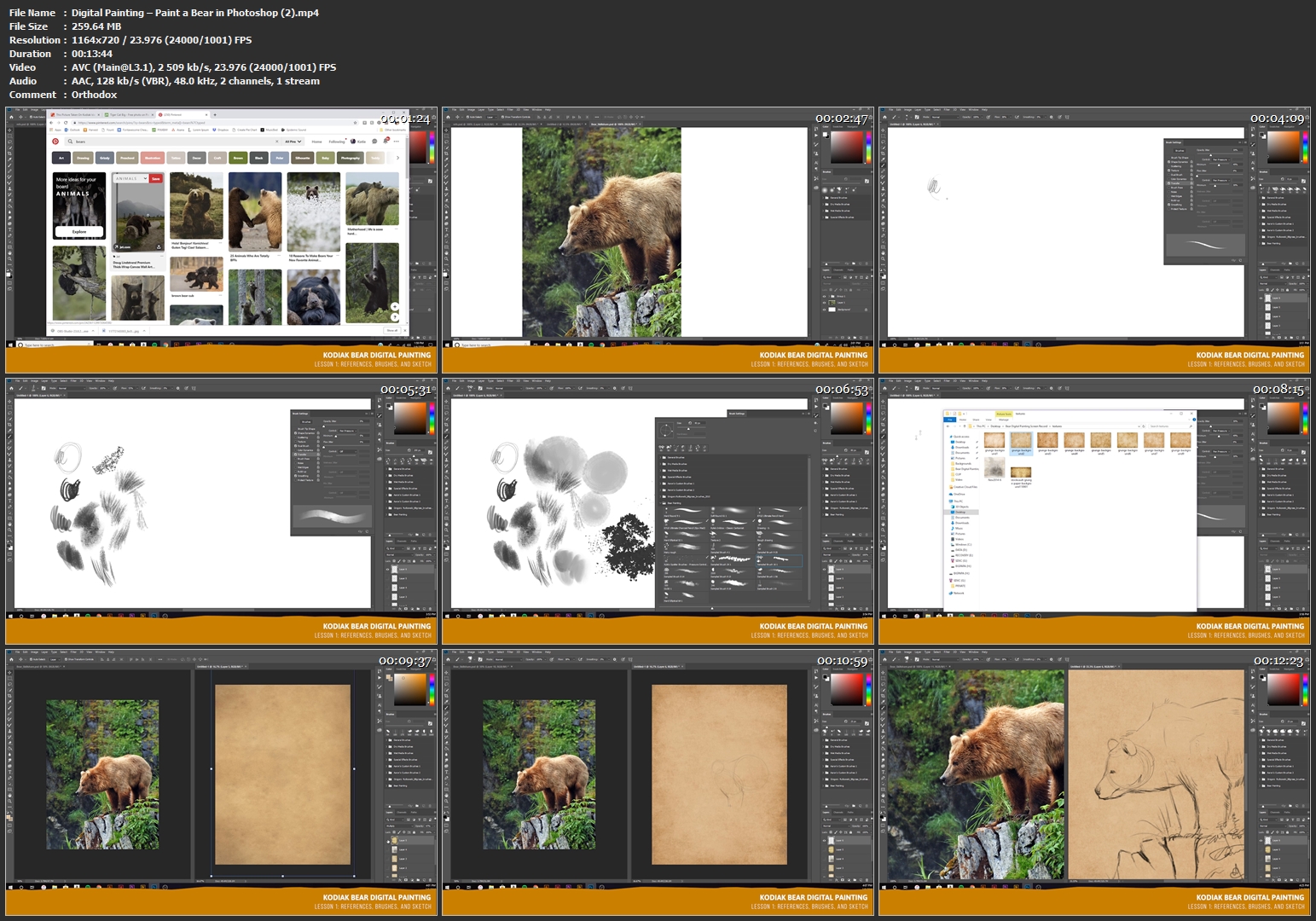 Digital-Painting-Paint-a-Bear-in-Photosh
