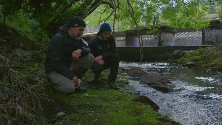 [Image: ldp2ertit693.jpg]