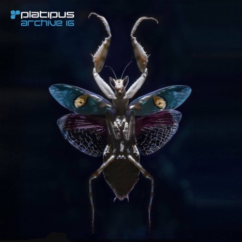 VA - Platipus Archive 16 (2026) MP3