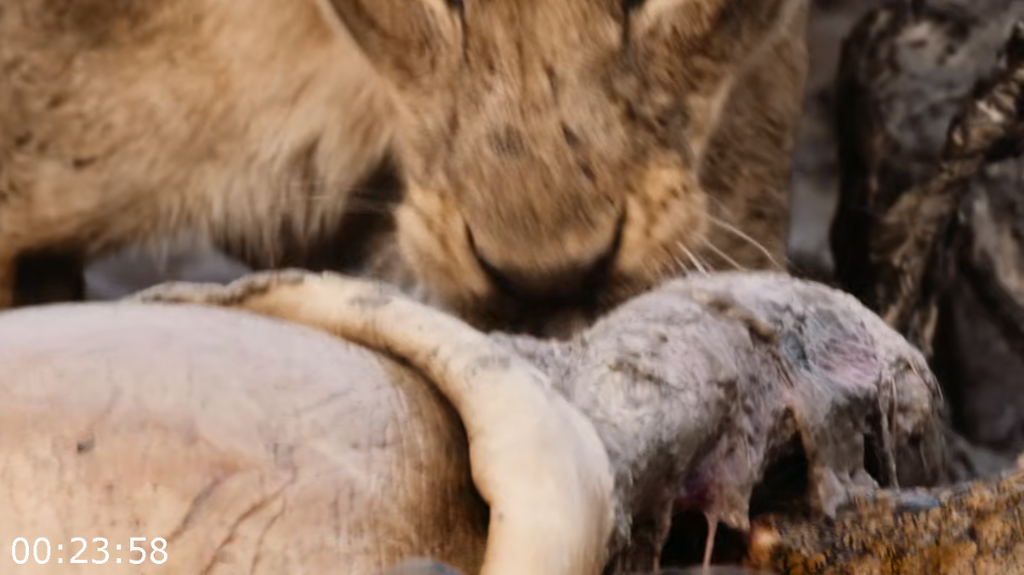 [Image: rwh0ipt7d0z5.png]