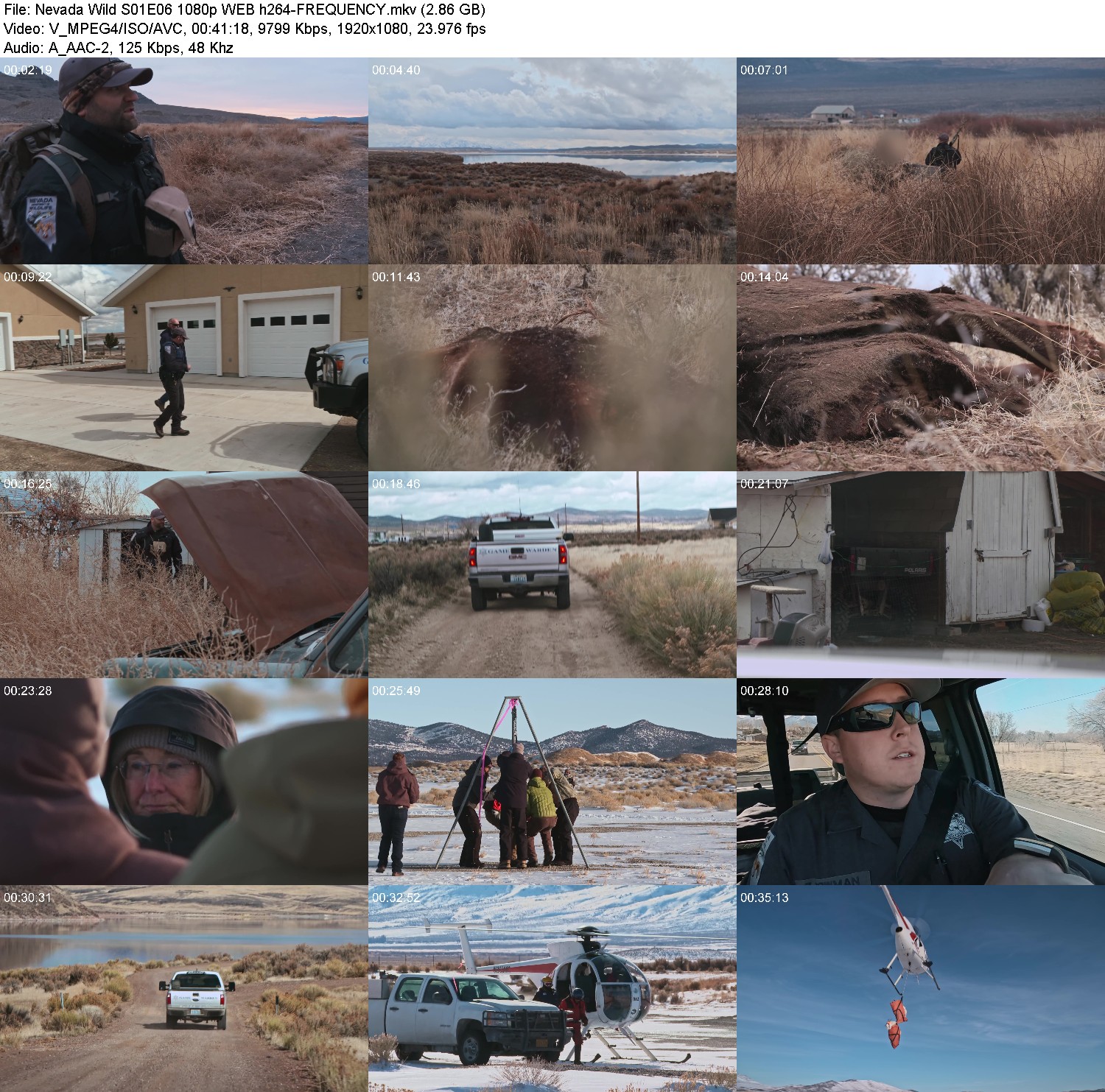 [Image: h7f2g40hoymn.jpg]