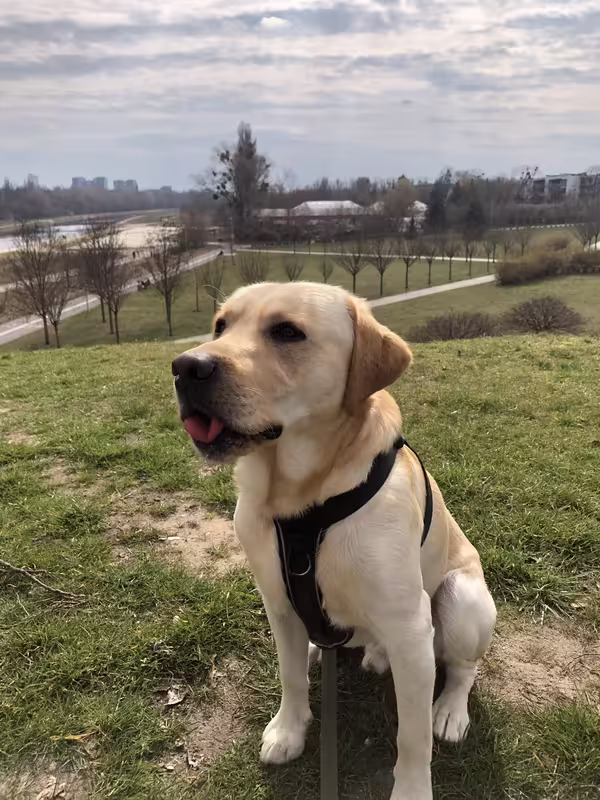 EE3B098E-007C-456F-933B-684C52D4487A