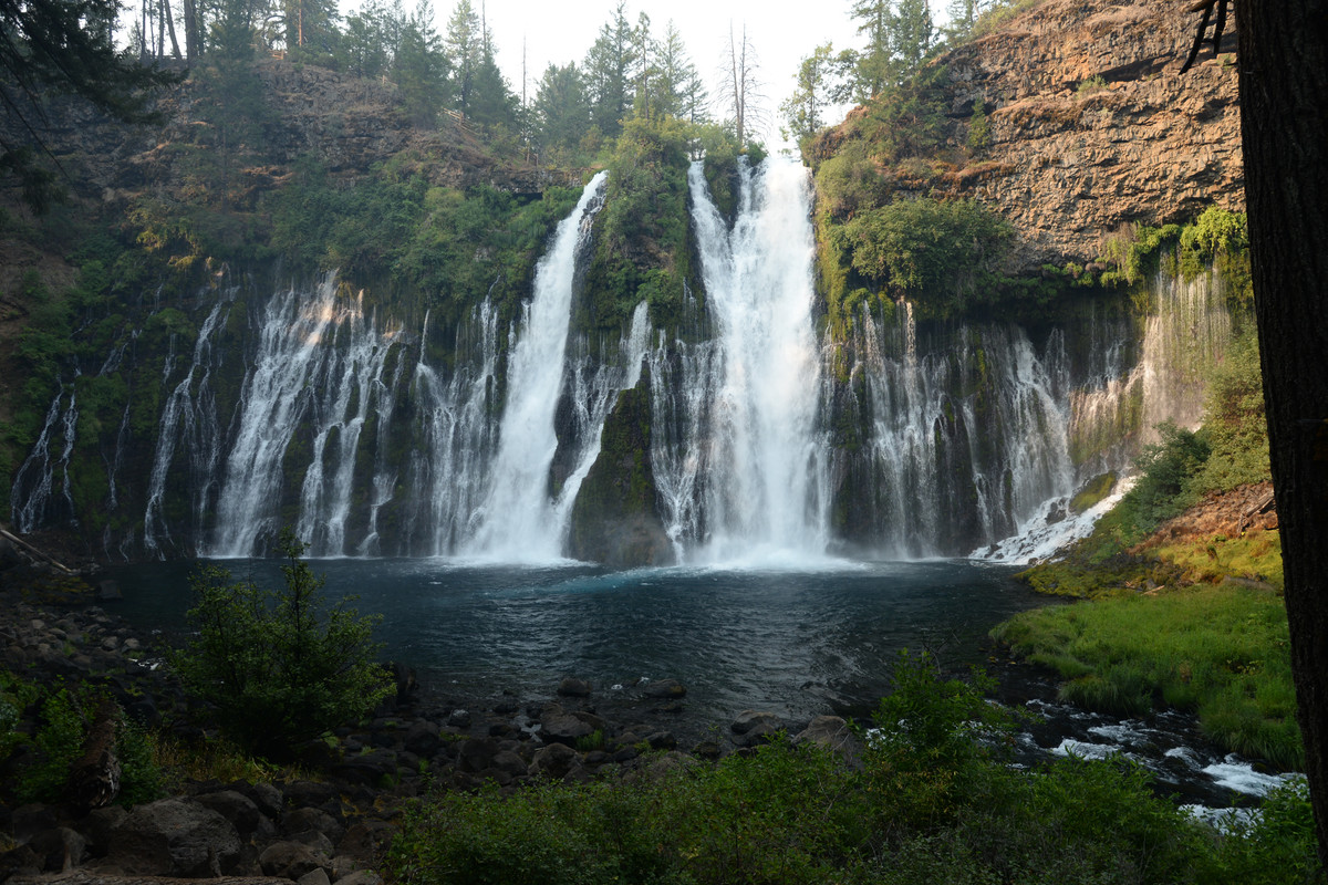 Árboles gigantes, fuegos y volcanes extintos - Oregon y California norte (2018) - Blogs de USA - Primeros días en el norte de California (26)