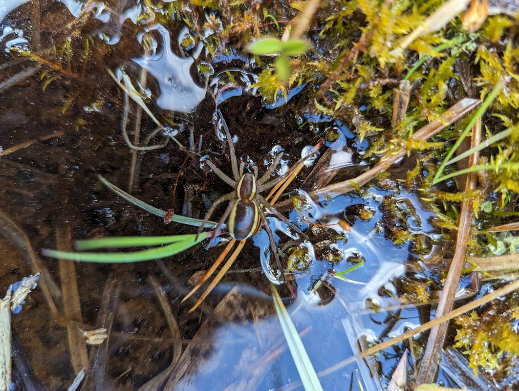 PXL_20230603_111005179