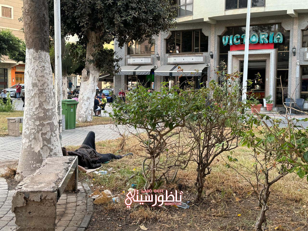 WhatsApp Image 2024-09-09 at 23.16.01 (1)