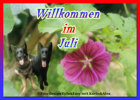 An den Beitrag angehängtes Bild: https://i.postimg.cc/RC1TS8yb/01-07-23-Willkommen-im-Juli.png