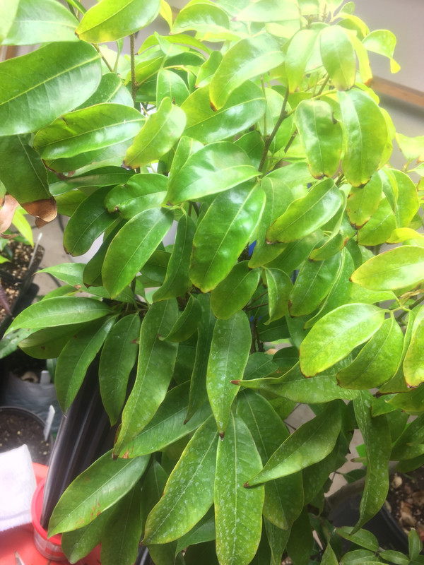 65787A4C-C2D1-40CA-B067-FA1A7A66A7BC