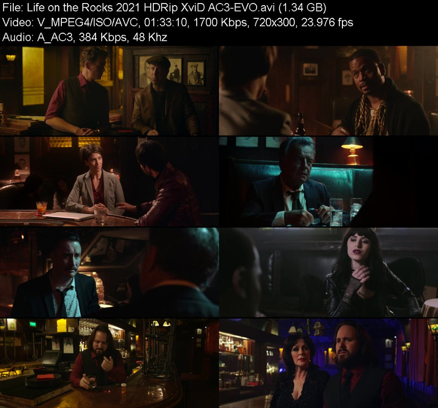 life-on-the-rocks-2021-hdrip-xvid-ac3-ev