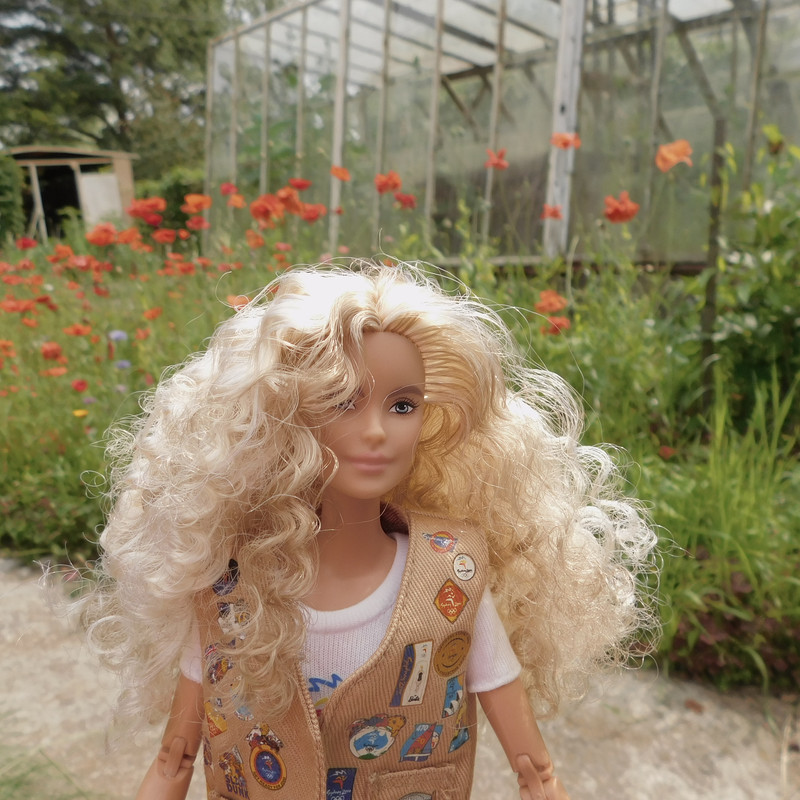 Дачное июль 203 и барби 009