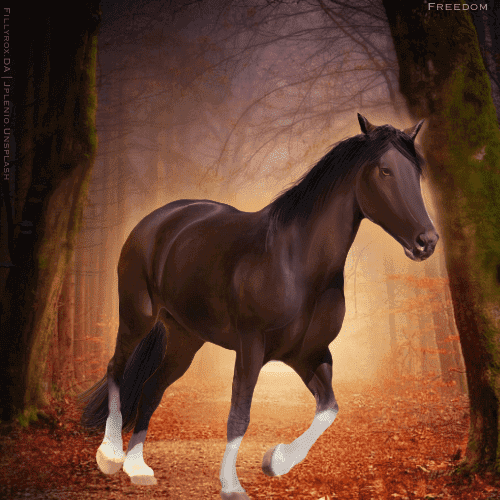 1D7EEF5D-A520-4E07-90C1-1B189064C9F6