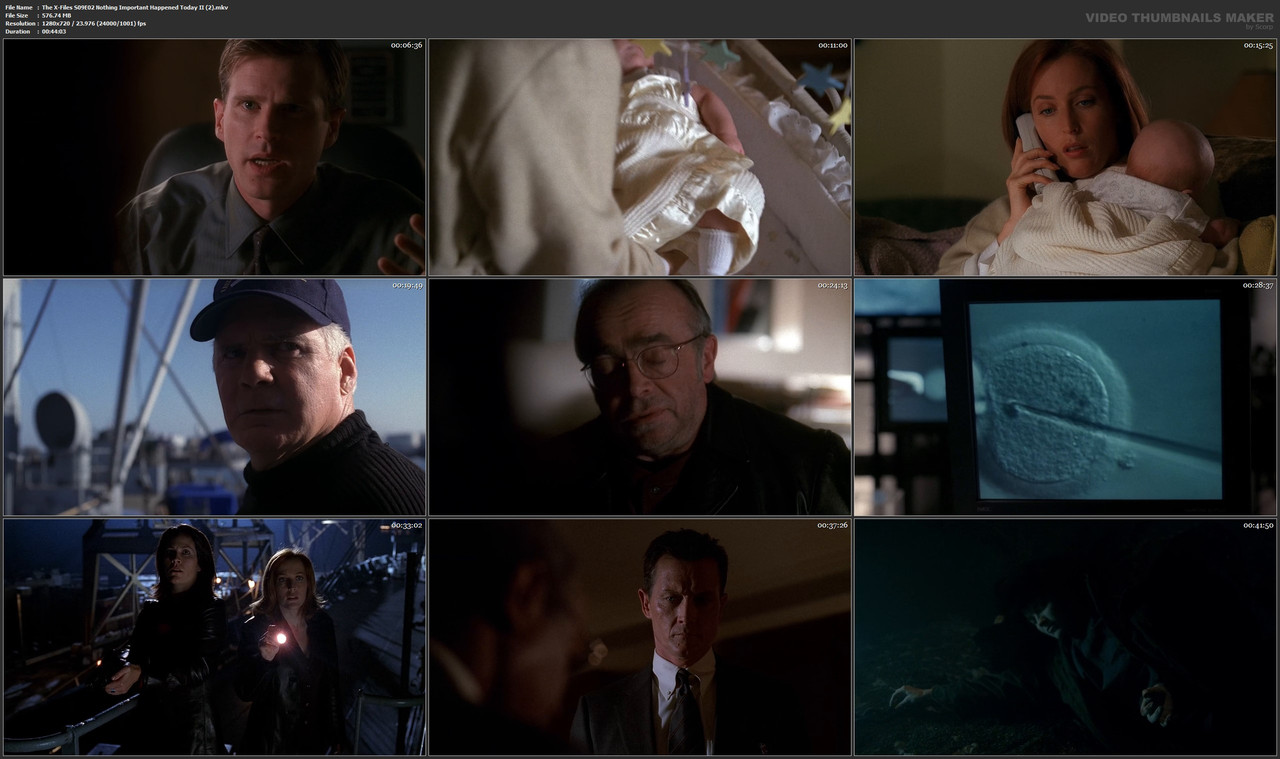 The X-Files S09E02 Nothing Important Happened Today II (2).mkv