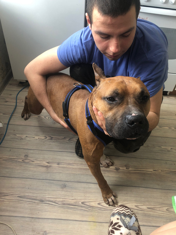 623937C5-6CAD-4657-9DB6-A4D957D3C7D3