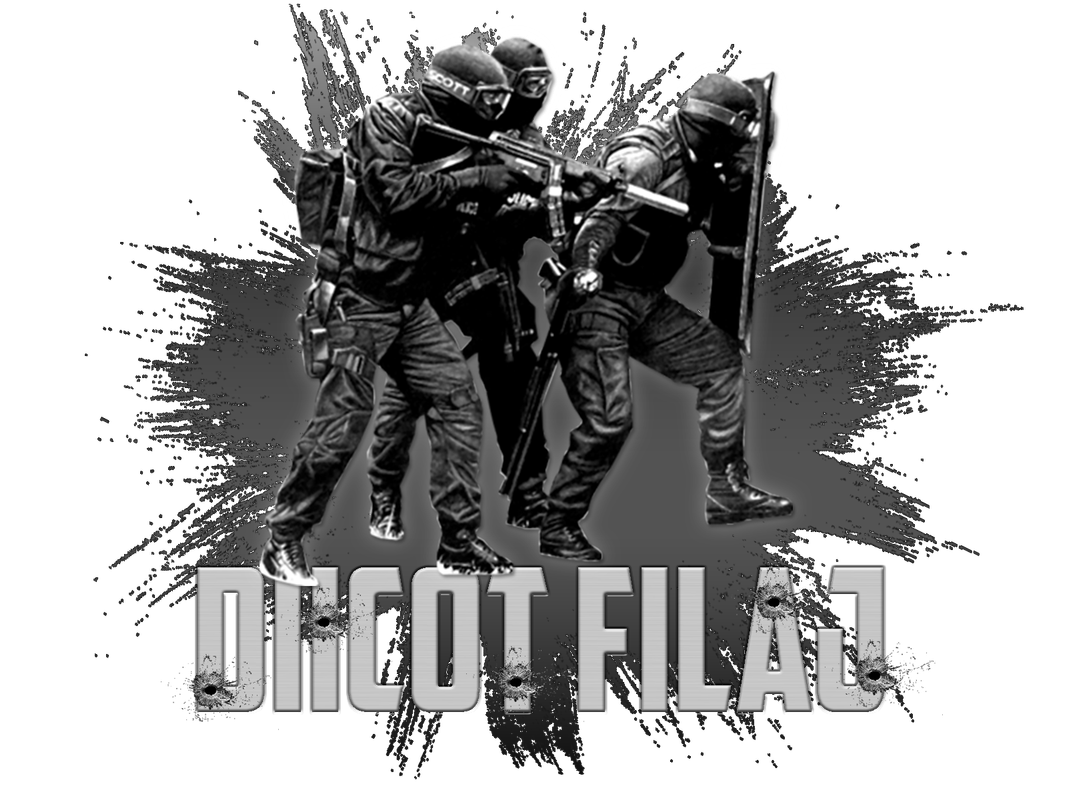 diicot-2.png