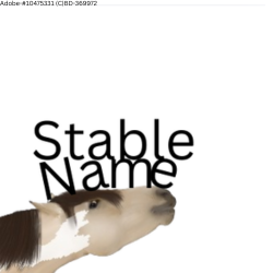 Adobe-4.png