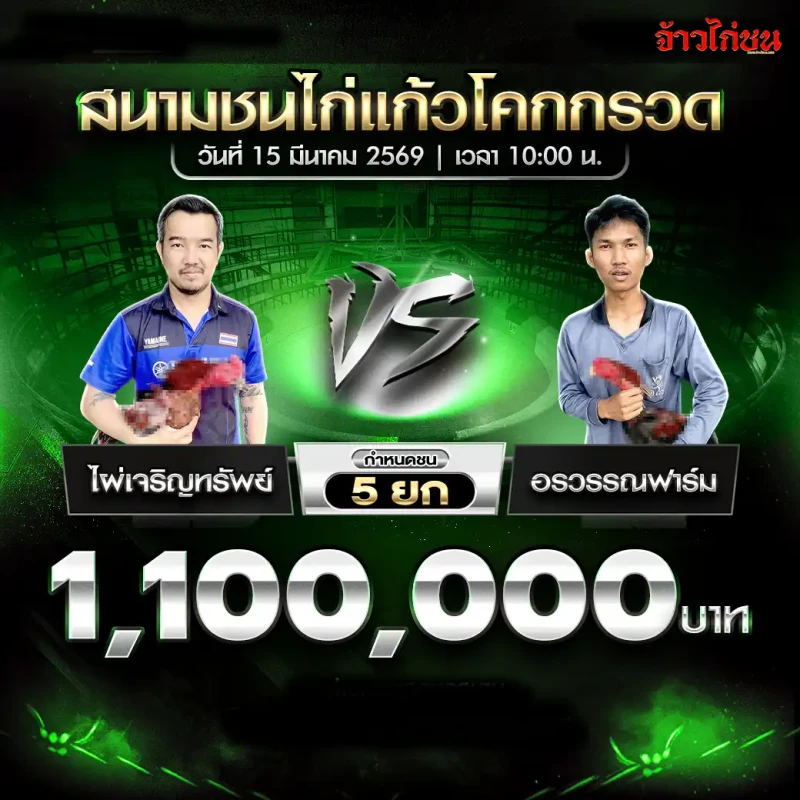 โปรแกรมไก่ชน คู่ ไผ่เจริญทรัพย์ พบ อรวรรณฟาร์ม สนามชนไก่แก้วโคกกรวด 15 มีนาคม 2569
