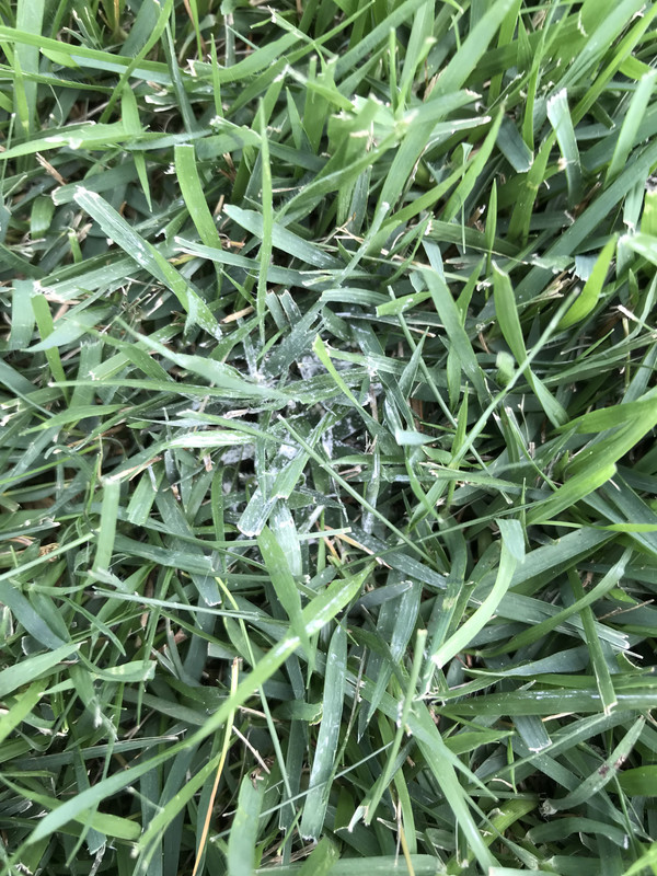 E47B9FA6-8073-4FDB-A49E-969A0664A76A