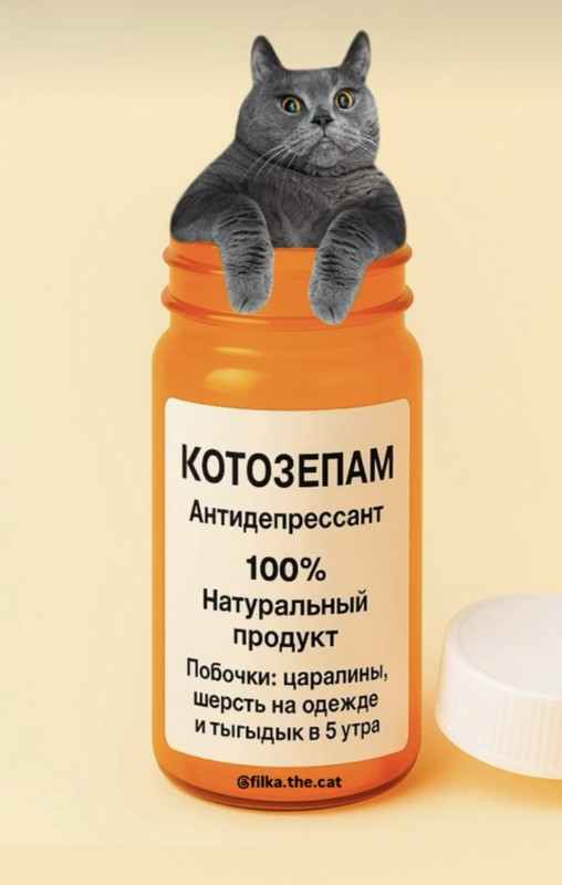 Screenshot 20251108 140012 Instagram