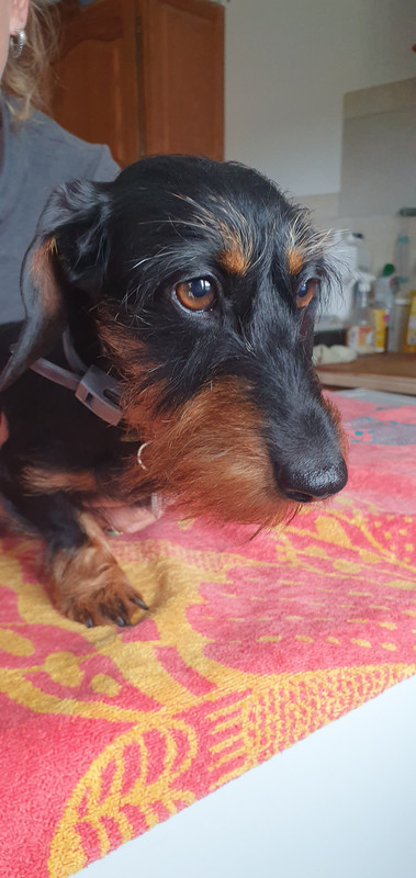 [Image: 20230726-150201.jpg]