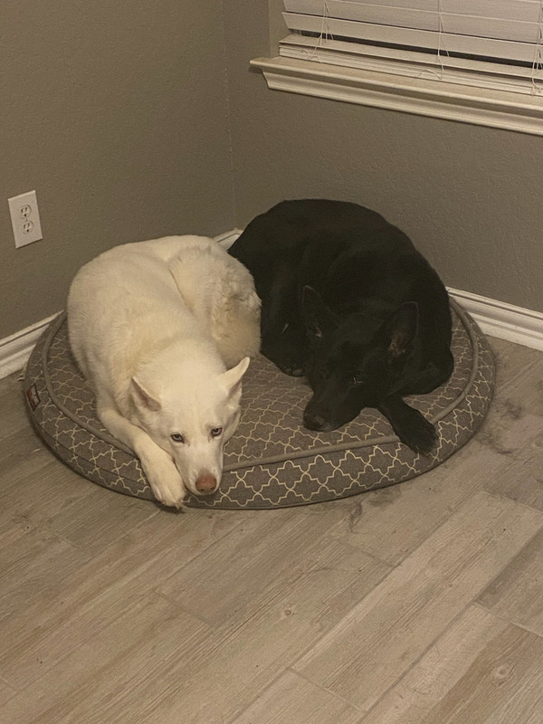 485454FC-45DE-461C-8B27-3F52E06134CF