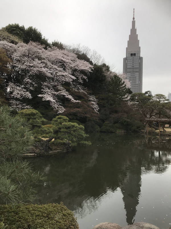 97434D08-8224-4EE3-BF68-B239312FC294