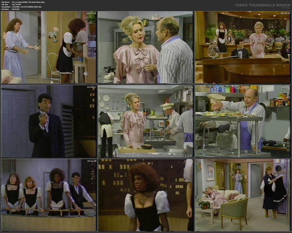 It's a Living S04E01 The Roof Show.mkv