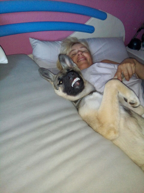 IMG 20260301 153448 286