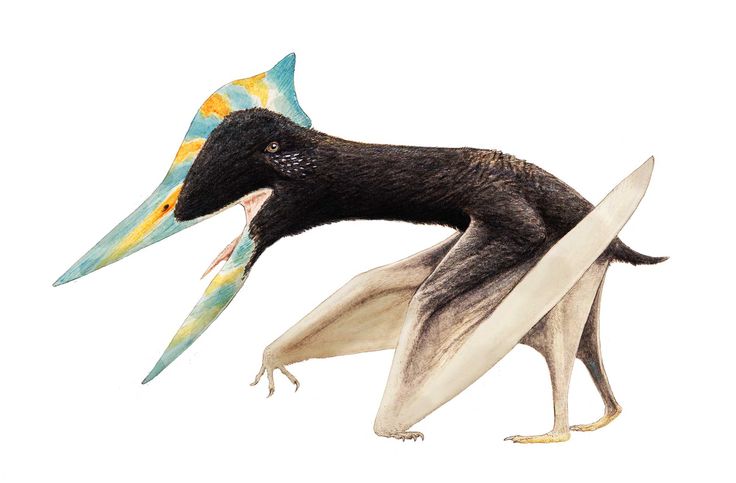 931a0ae472ea564189234a3ac5f8e954--prehistoric-animals-reptile