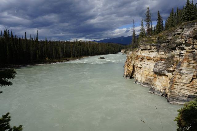 Día 5: Alredeores de Jasper y parte norte de la Icefields Parkway - Vancouver y Rocosas Low Cost: Dos semanas por lo mejor de Canadá (7)