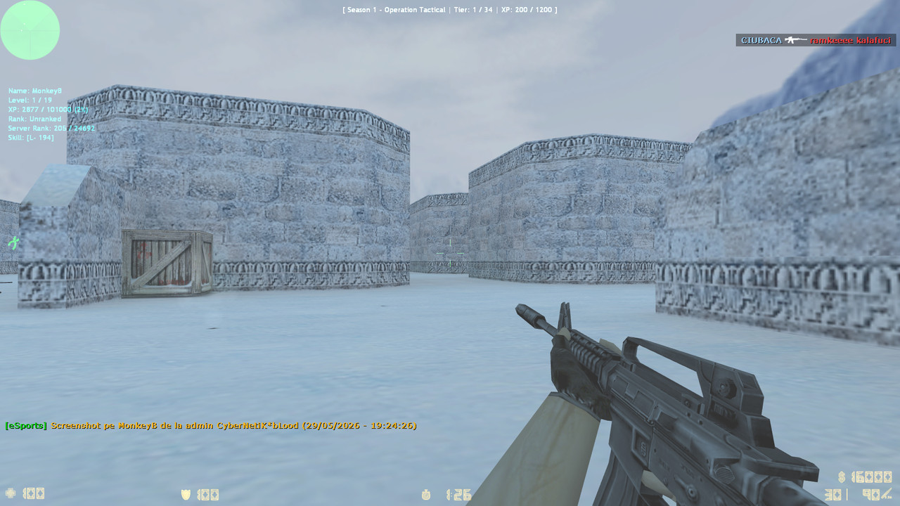 fy snow0001