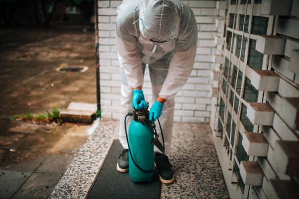 Termite Treatment Kissimmee
