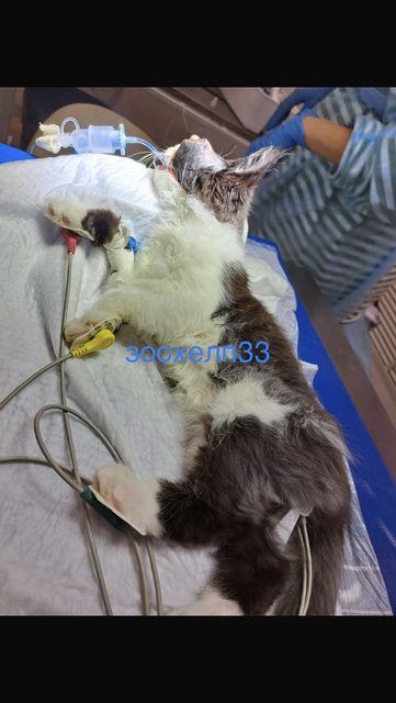 2B83EE40-D70B-488D-B7BF-9C00F475E391