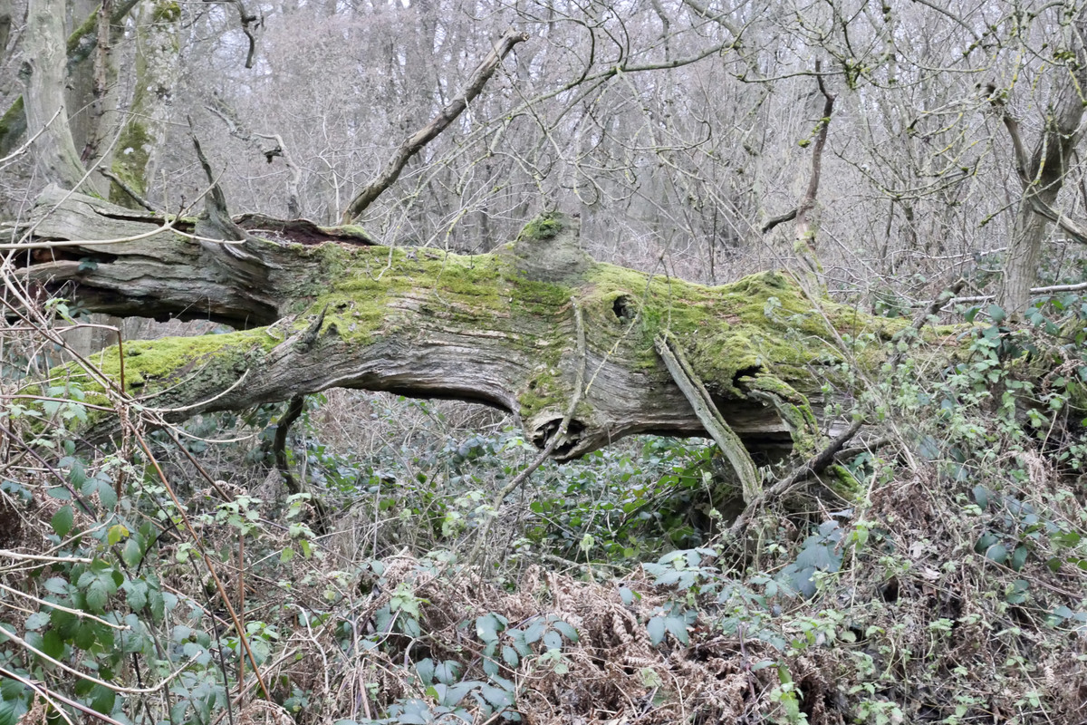 5481290F-B313-4497-A09E-B45FA2438EFB