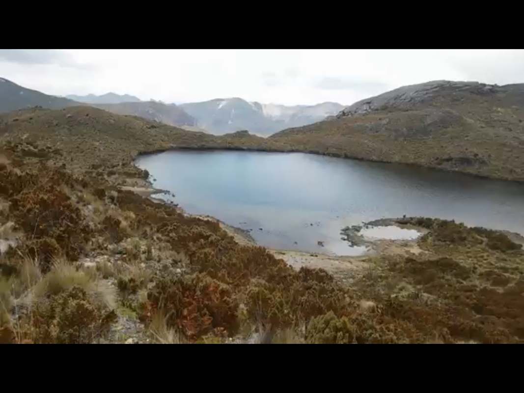 52201470-495B-40D5-AA1A-0CF43E2A8798