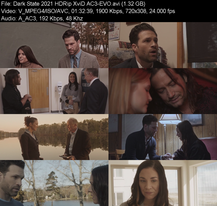 dark-state-2021-hdrip-xvid-ac3-evo.png