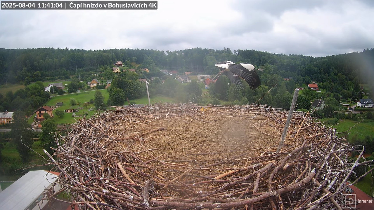 Živě z čapího komína firmy KARA v Bohuslavicích u Trutnova 10-4-41 screenshot