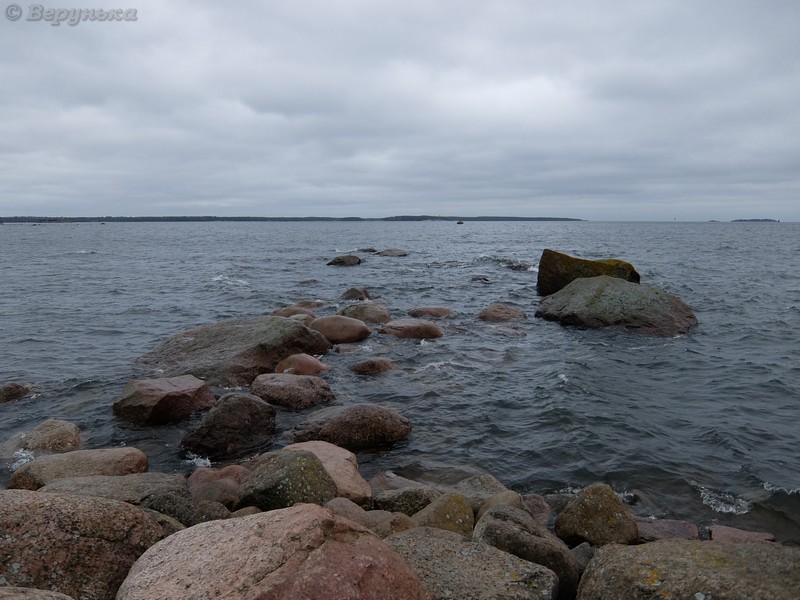 DSCF6725