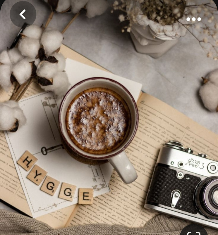 Screenshot_20231015_214644_Pinterest