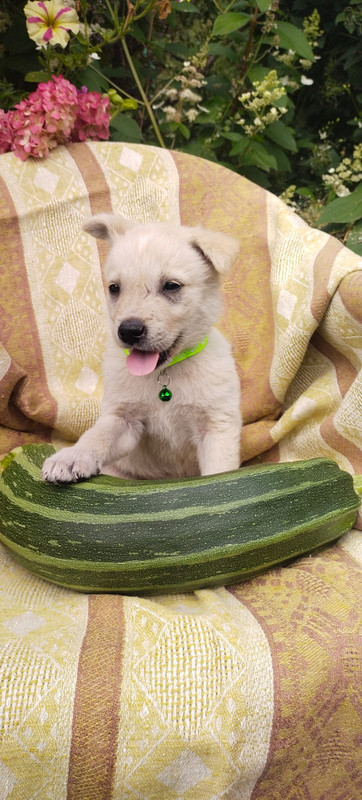 Изображение WhatsApp 2025-08-19 в 12.07.59_e5fbef87