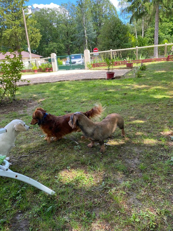 [Image: IMG-20210610-WA0005.jpg]