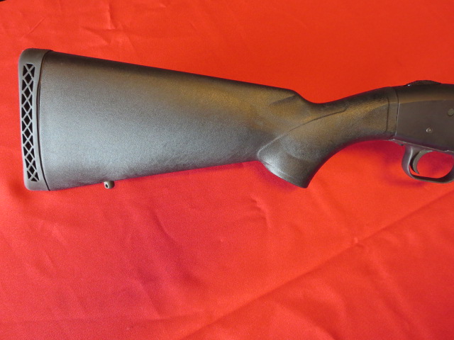 Waff-ank-Clearwater-009