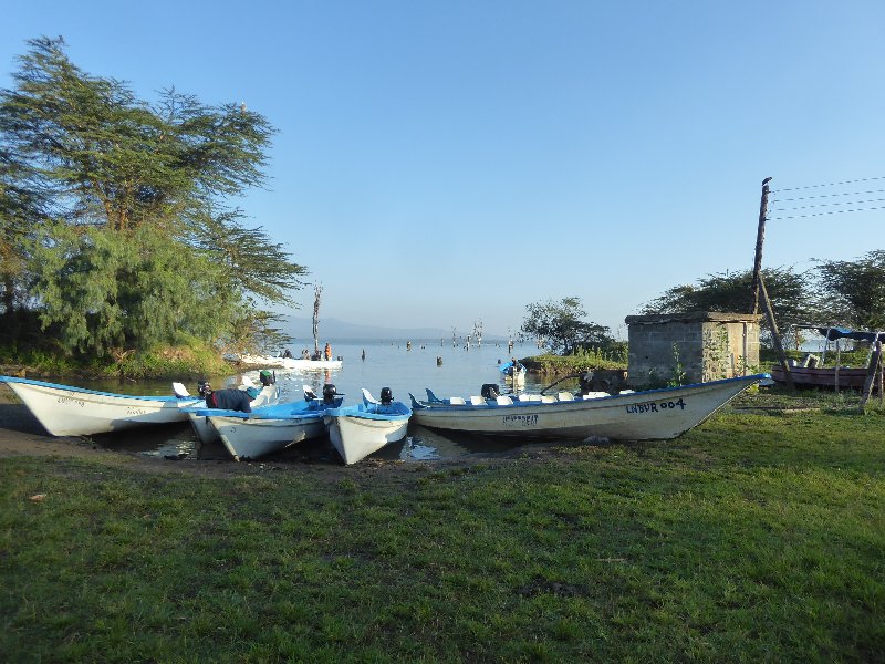 Un poquito de Kenia: Lagos Naivasha y Nakuru, Samburu y Masai Mara - Blogs of Kenya - PARQUE NACIONAL DE LAGO NAIVASHA (4)