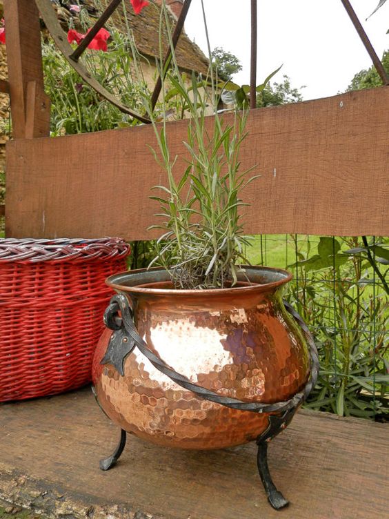 copperplantpot.jpg