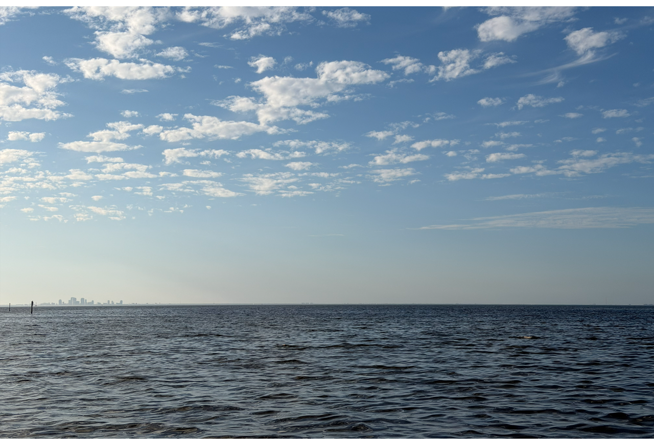 [Image: Tampa-Bay-From-The-E-G-Simmons-Conservation-Park5.png]