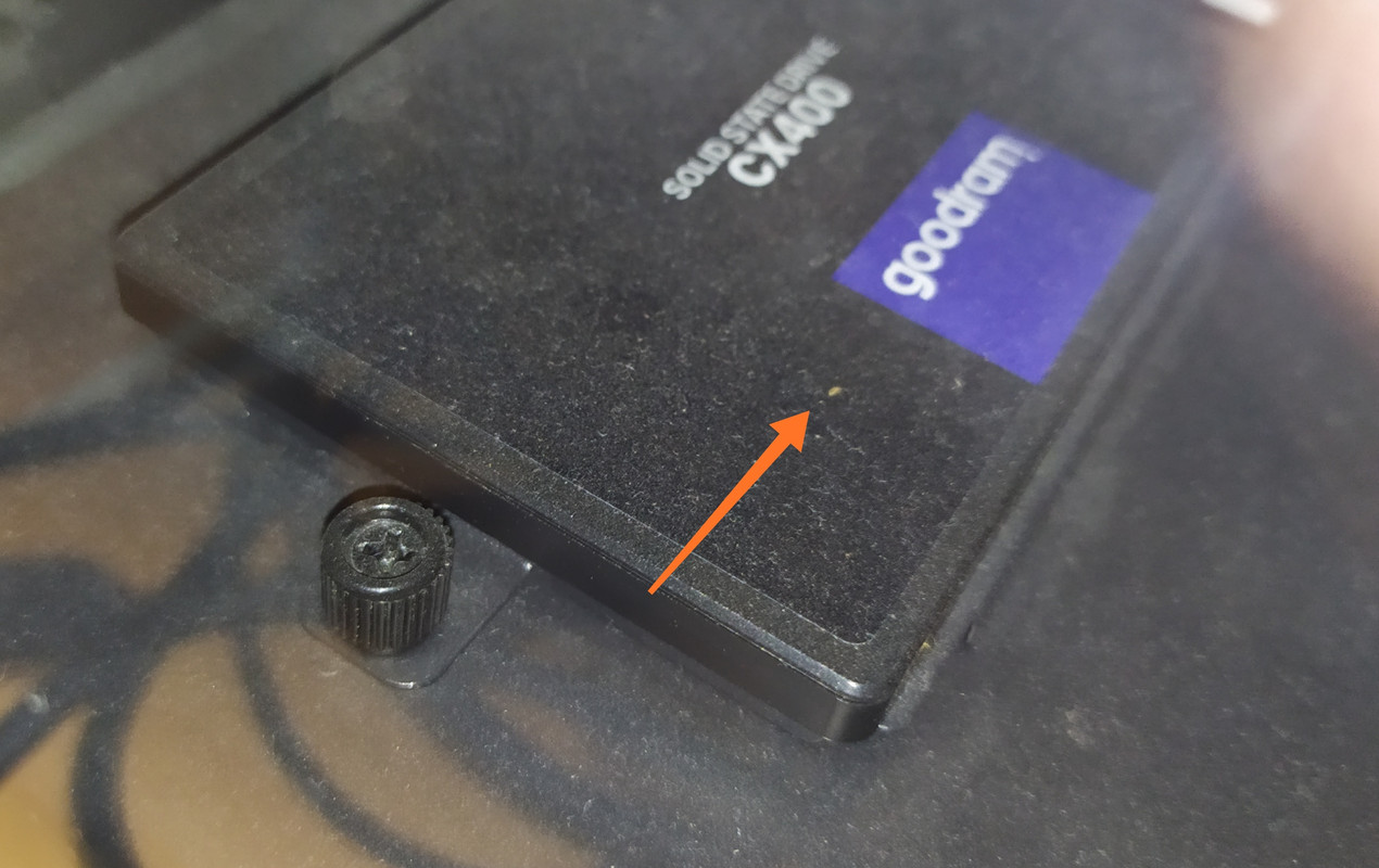 [SOLVED] - Insects in my computer case | Tom's Hardware Forum