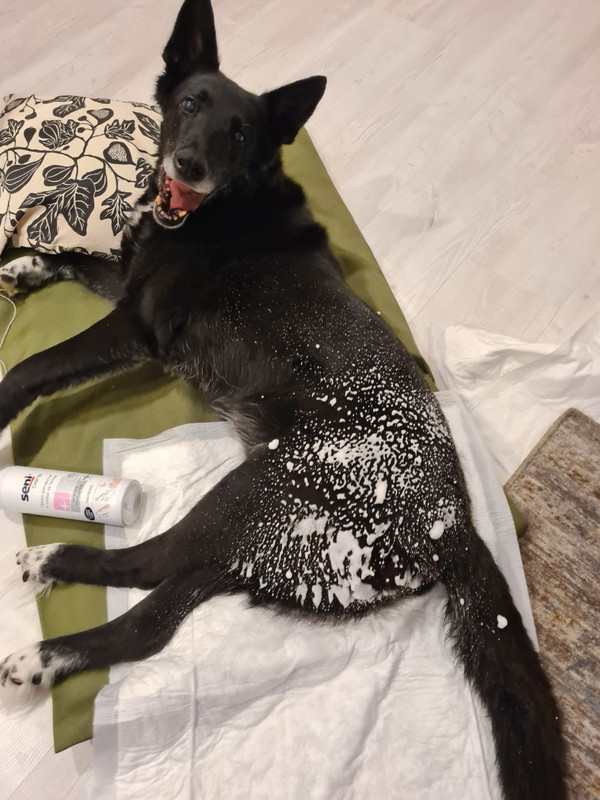 photo_2023-08-21_15-16-53 (3)